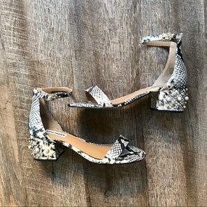 Steve Madden snake skin Ibbie studded sandal